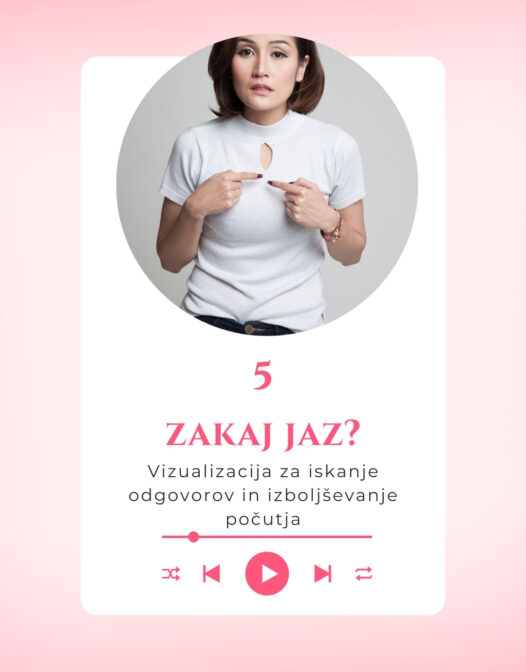 -5-Vizualizacija: Zakaj jaz?