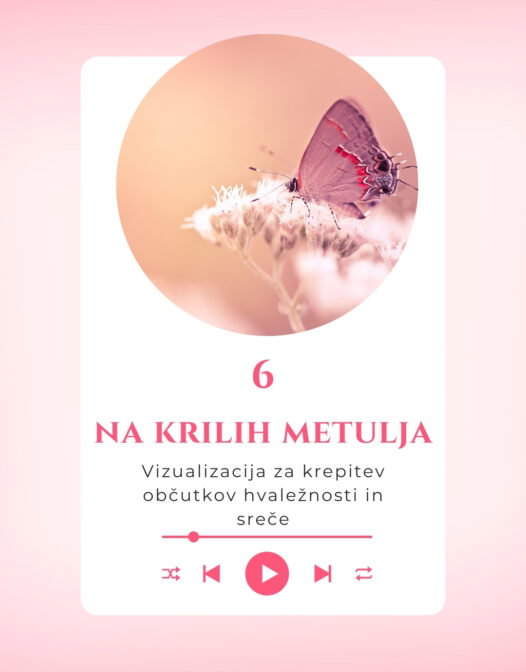 -6-Vizualizacija: Na krilih metulja