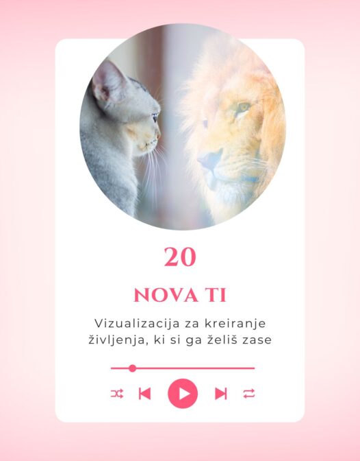 -20-Vizualizacija: Nova ti / Ti, kakršna želiš postati