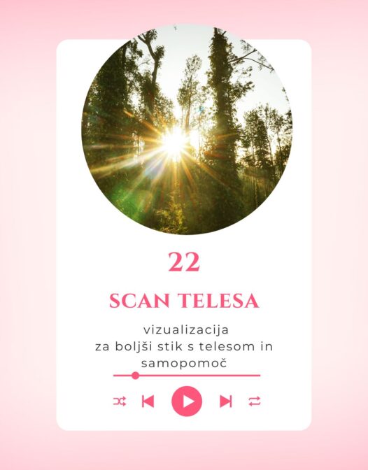 -22-Vizualizacija: Scan telesa